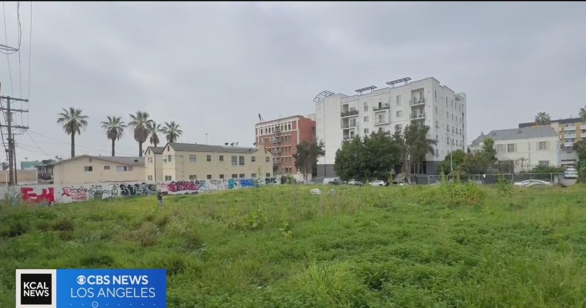 Taking a look at the many factors behind LA's empty and overgrown lots ...