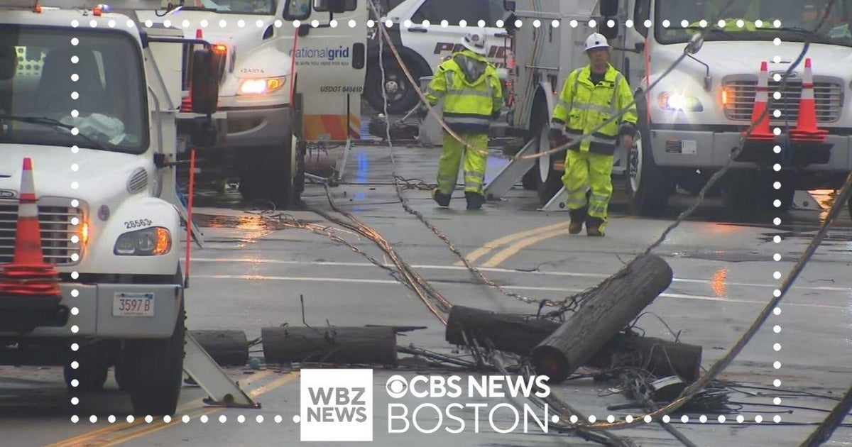 Car crashes into utility poles, knocking out power to dozens in ...