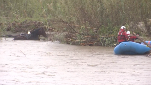 Captura de tela-2024-03-31-at-7-15-50-pm.png