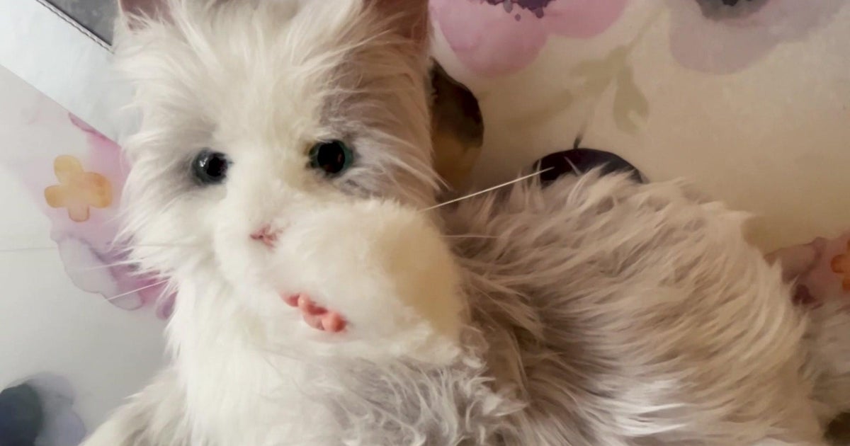 Large-tech companions aim to support fight loneliness epidemic amid South Florida seniors Large-tech companions aim to support fight loneliness epidemic amid South Florida seniors