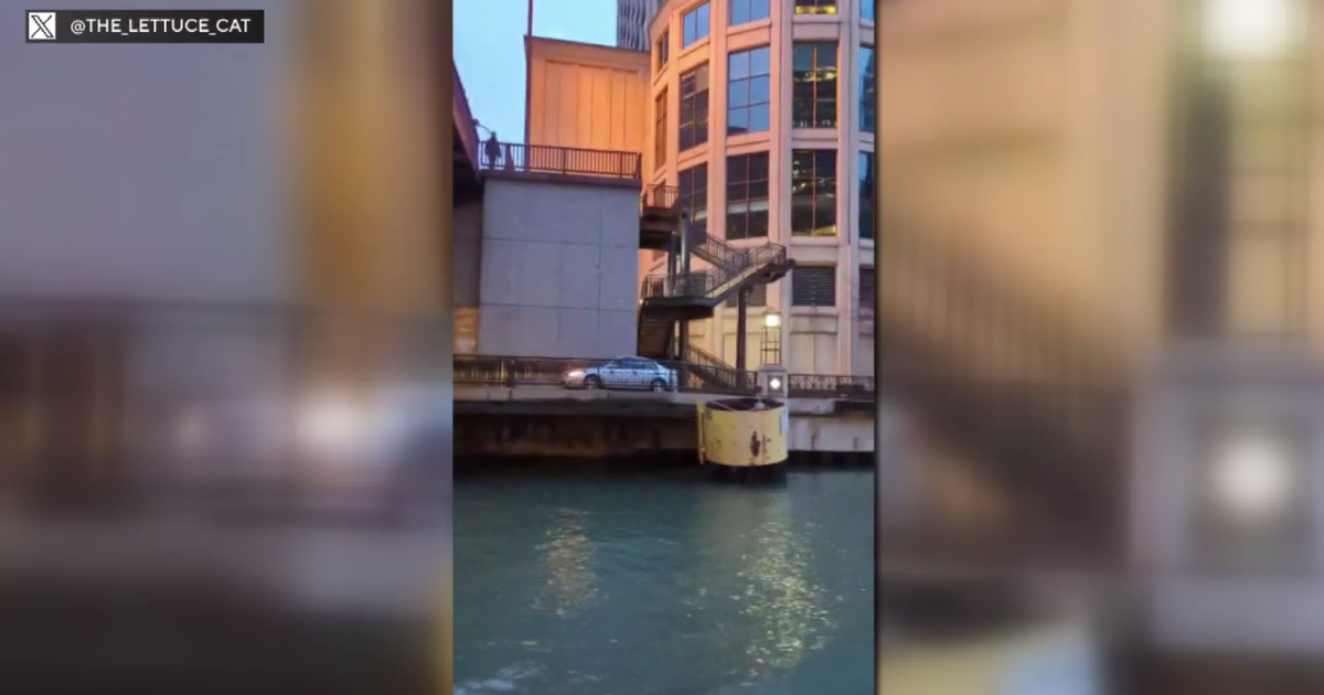 What was a car doing cruising down the Chicago Riverwalk?