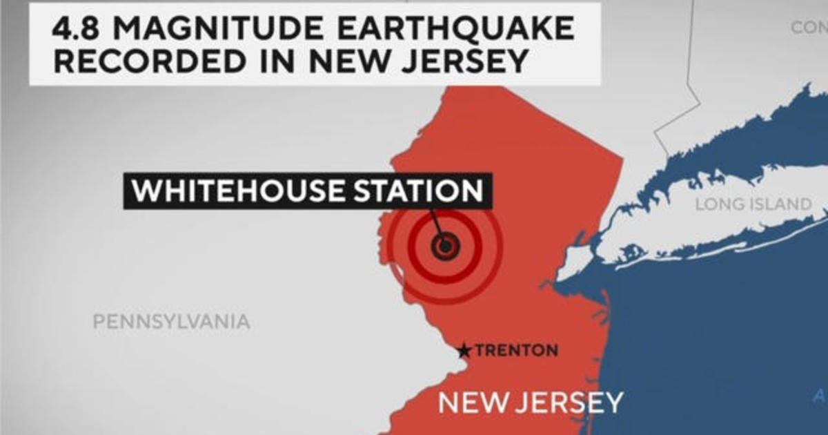 Ground stops issued at New York City-area airports after earthquake
