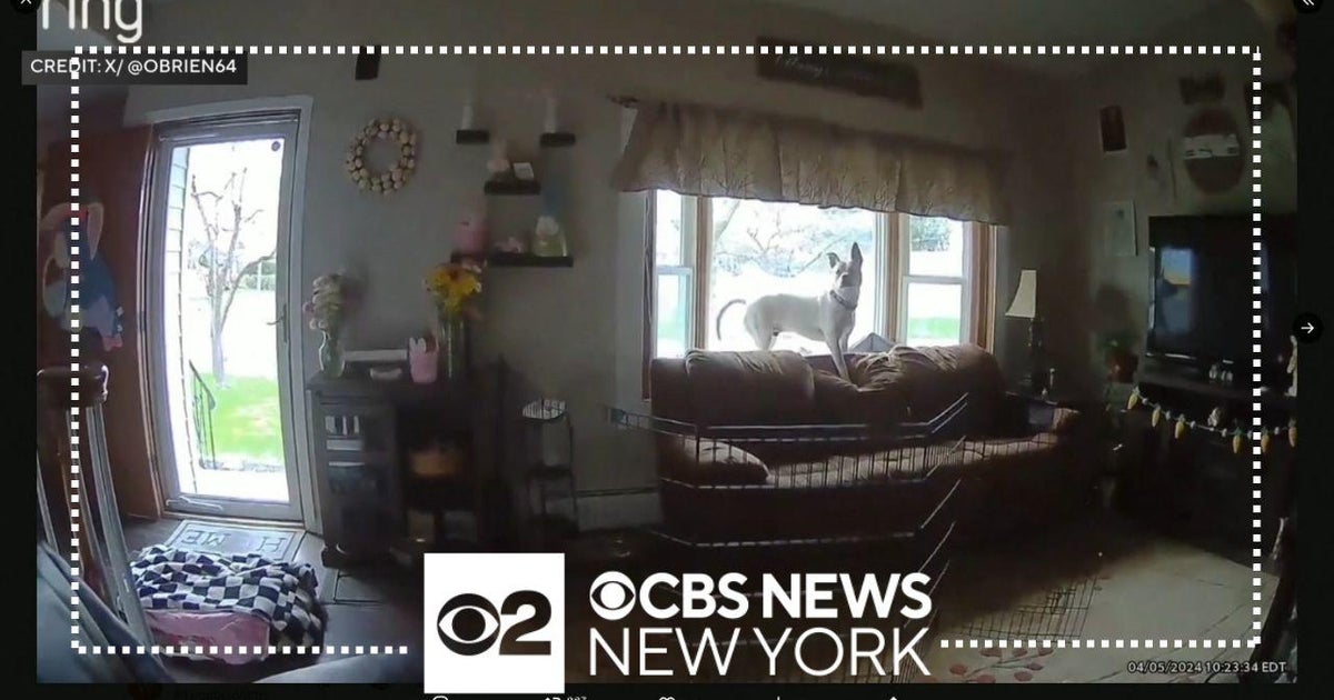 Earthquake Caught On Camera Multiple Videos Capture Shaking In Nj And Earthquake Caught On Camera Multiple Videos Capture Shaking In Nj And