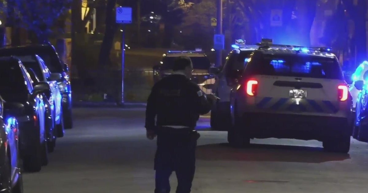 Woman shot while walking dog on Chicago's North Side - CBS Chicago
