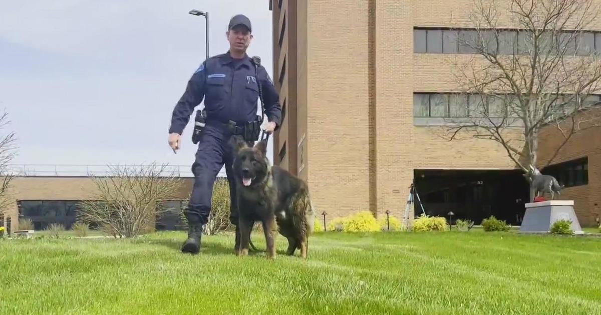 Local Business in Metro Detroit Donates K9 First Aid Kits to Michigan State Police