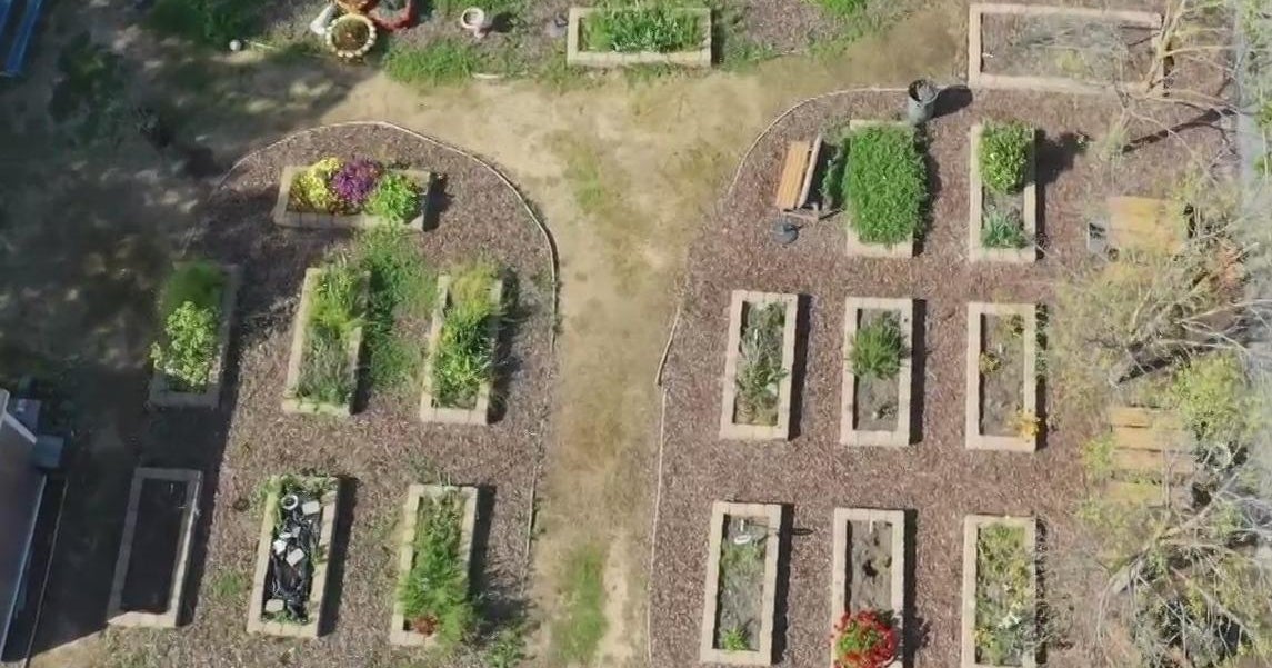 Beloved school garden in Elk Grove on brink of being uprooted for portable