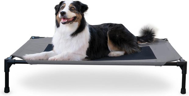 K&H Pet Products Cooling Elevated Dog Bed
