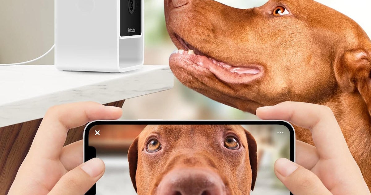 The best pet deals on Amazon to celebrate National Pet Day 2024 The best pet deals on Amazon to celebrate National Pet Day 2024