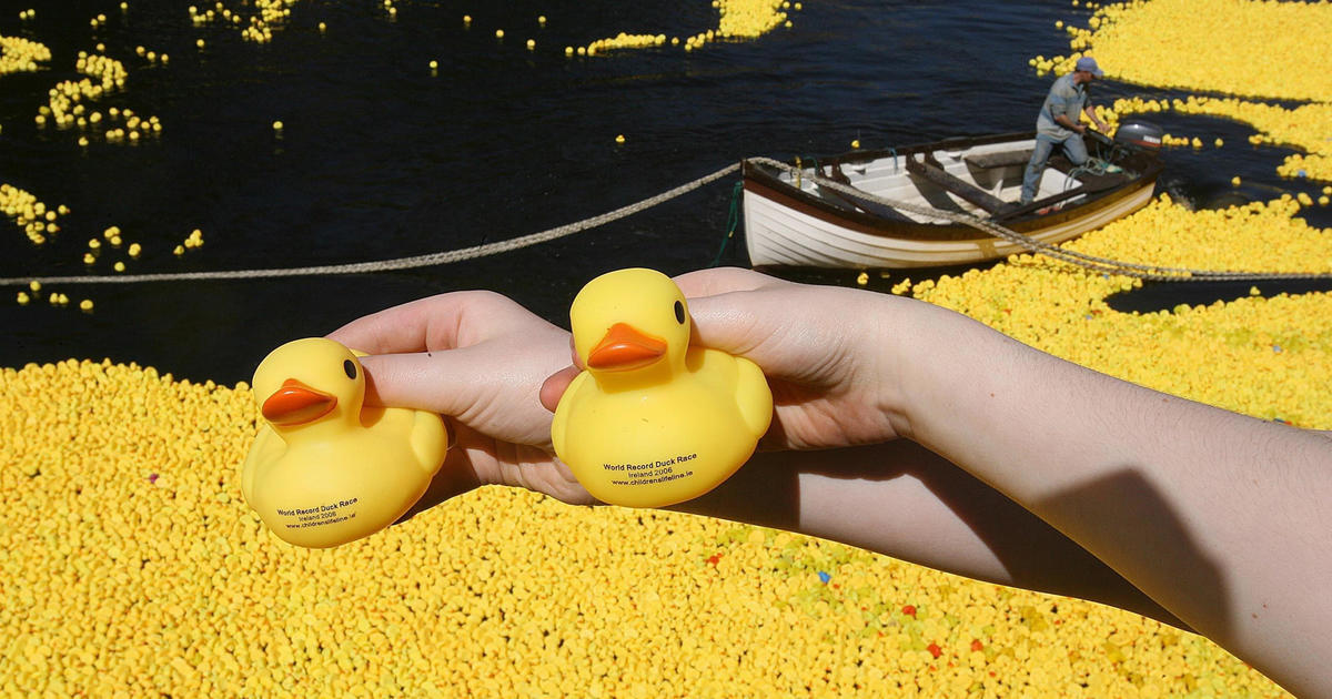 Rubber duck lost at sea for 18 years found 423 miles away from its origin in Dublin
