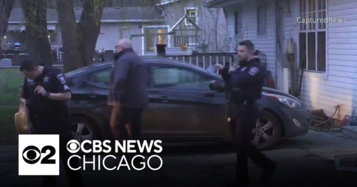 4 hurt in dog attack in northwest Chicago suburbs - CBS Chicago