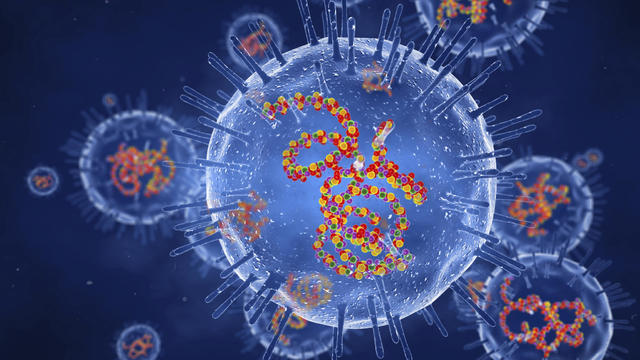 Rubella viruses, illustration 