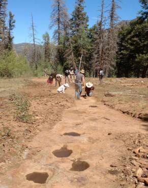 usfs-buys-dinosaur-tracks-3-credit-usfs.jpg 