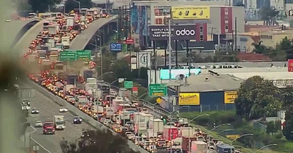 Pro-Palestinian protest blocks northbound lanes of I-880 in Oakland