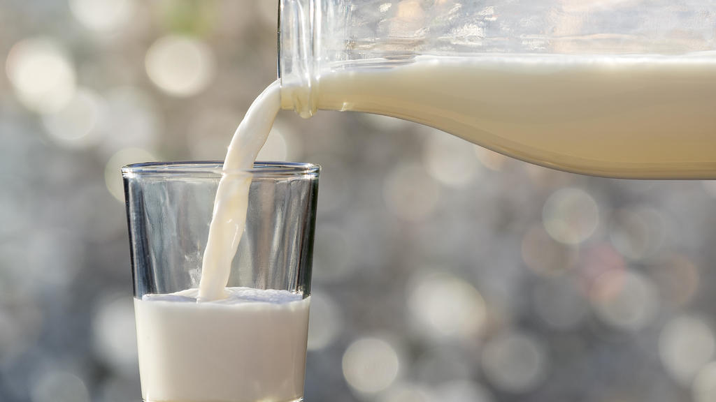 Pasteurization working to kill bird flu in milk and other dairy
products, FDA tests find