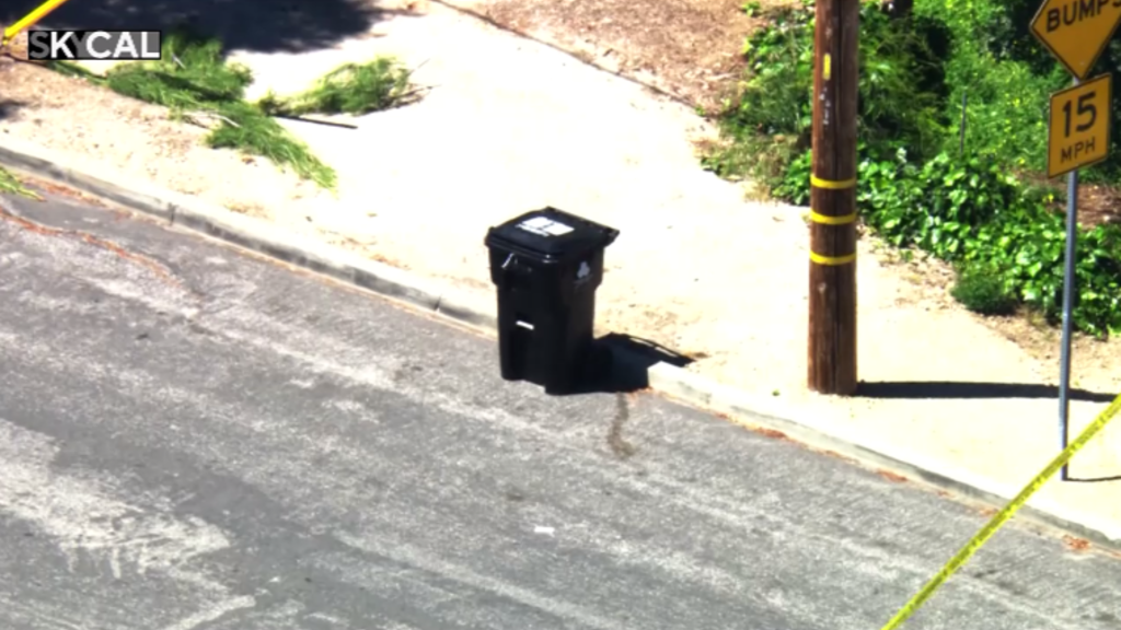 Woman found inside Sunland trash bin identified