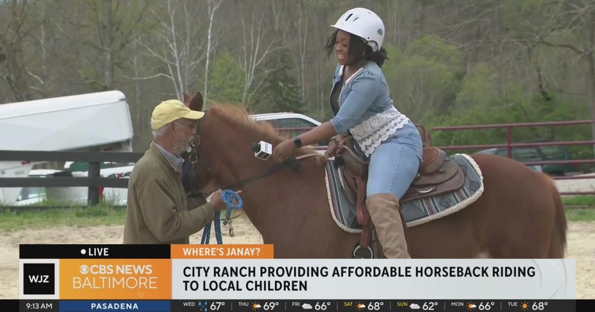 Get a taste of the affordable, accessible horse riding experience at ...