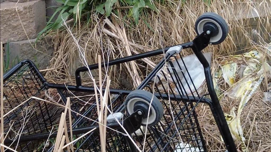 One Colorado city is looking at making abandoned shopping carts a
public nuisance