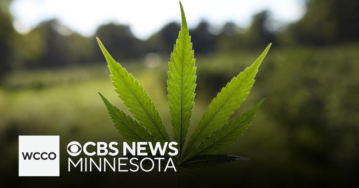 Breaking down the dos and don’ts of legal cannabis in Minnesota