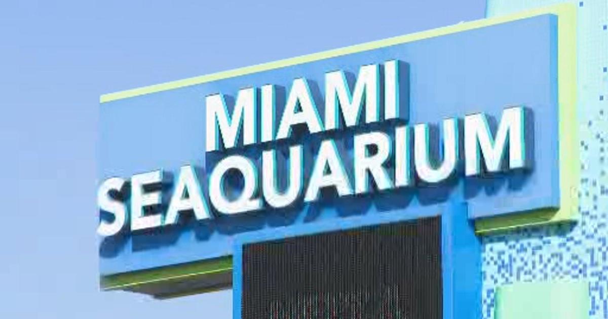 Miami-Dade County serves Miami Seaquarium with eviction notice