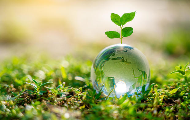 Concept Save the world save environment The world is in the grass of the green bokeh background 