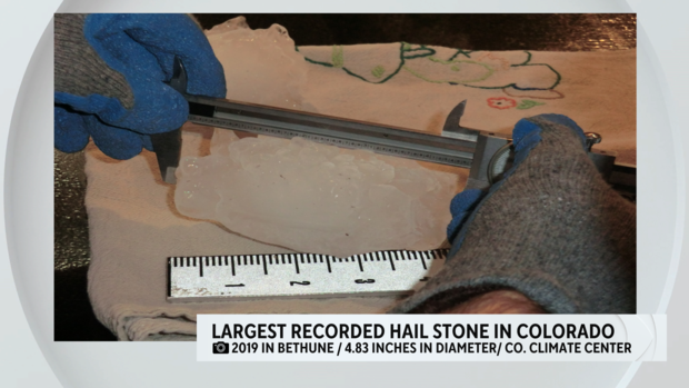 largest-hail-stone-recorded.png 
