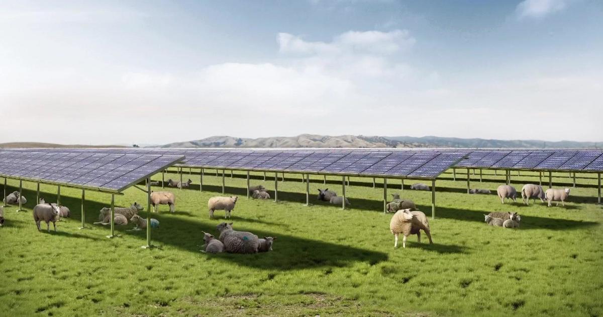 California Forever promises to combine solar energy production with agriculture in Solano County