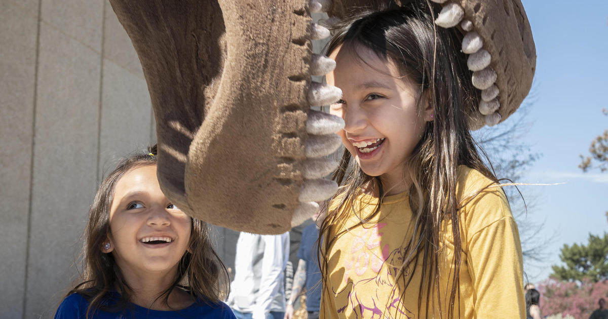 This Sunday, Dia del Niño offers free admission to Denver Museum of Nature & Science
