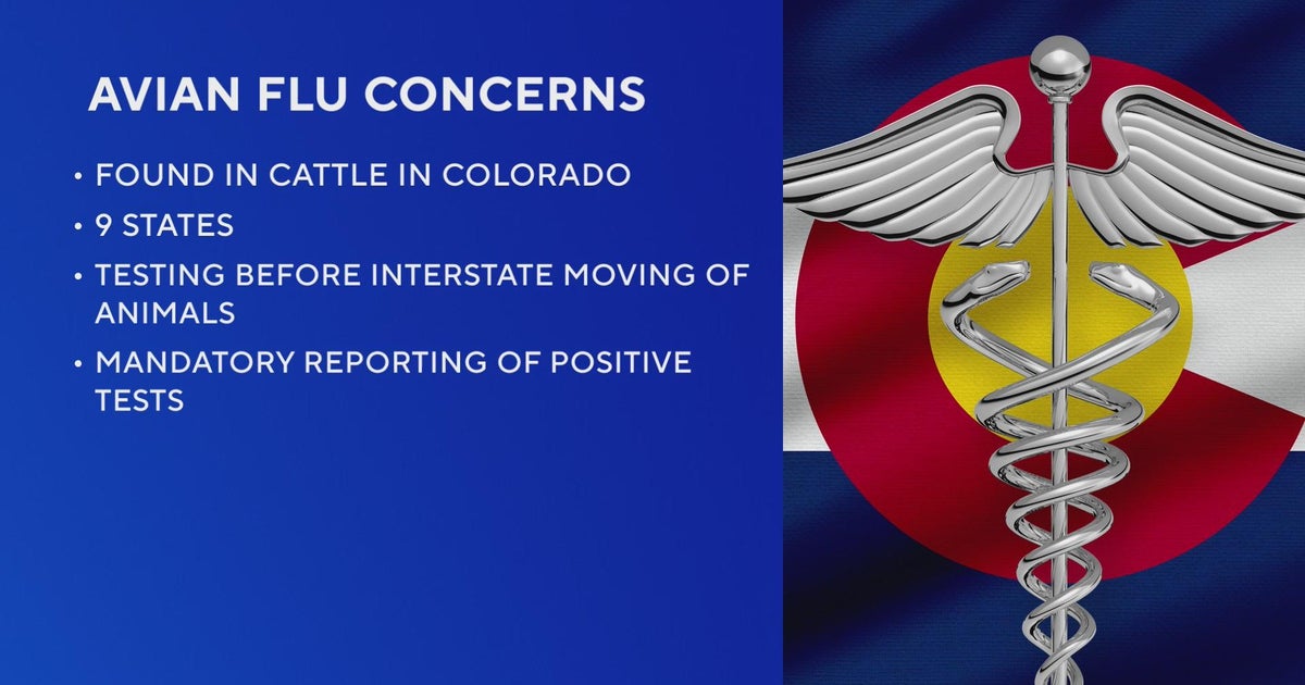 Colorado Agriculture Commission discusses impacts of bird flu on dairy ...