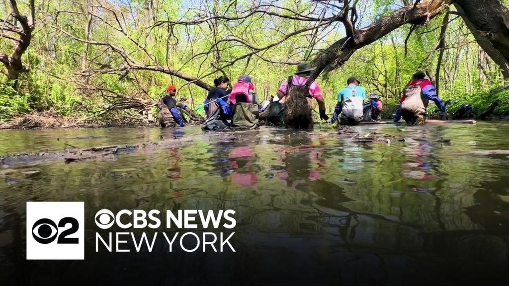 Here's what volunteers found while cleaning up the Bronx River