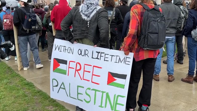 university-of-wisconsin-madison-pro-palestinian-protest.jpg 