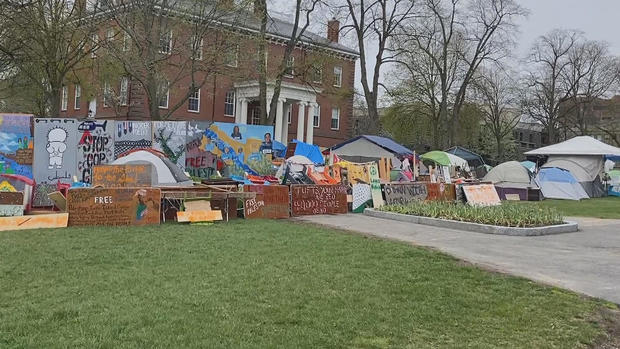 Tufts protest encampment 