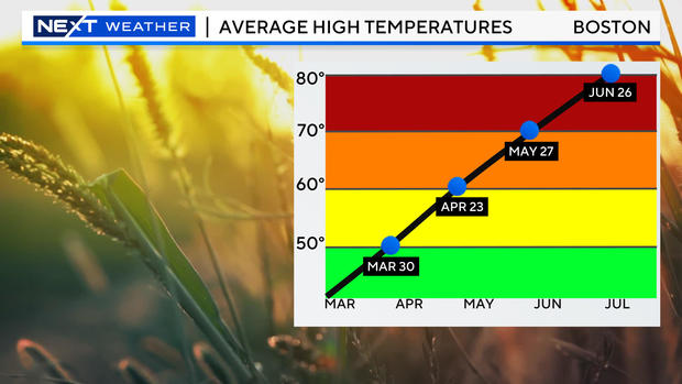 avg-high.jpg 