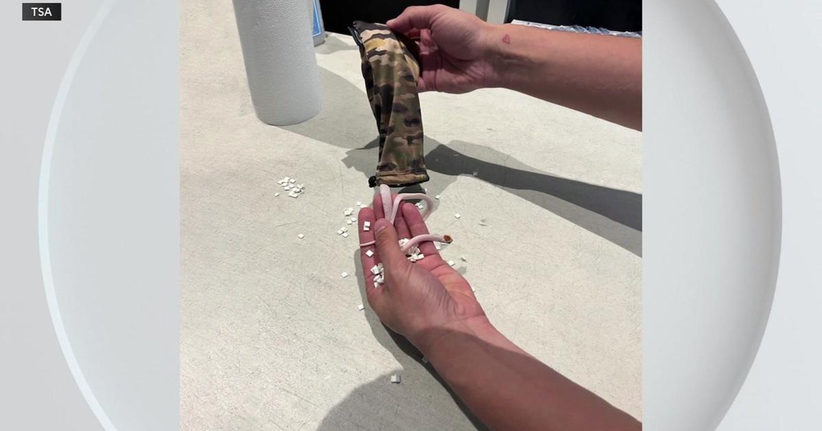 Man stopped at Miami International Airport with snakes in his pants