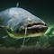 Meet Scar: "Monster" catfish may have broken a U.K. record