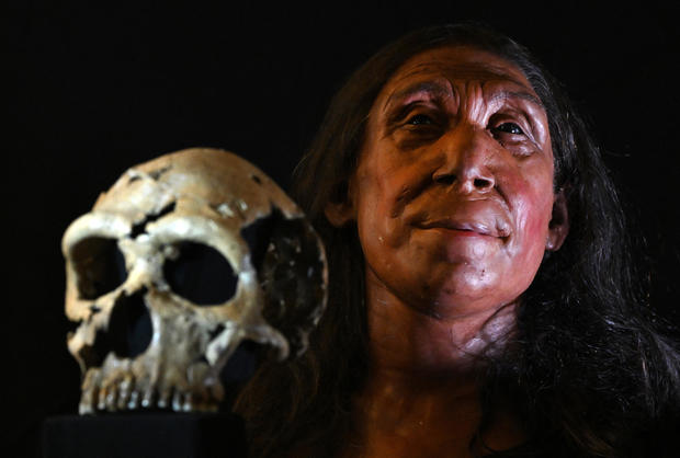 Neanderthal woman - Figure 2