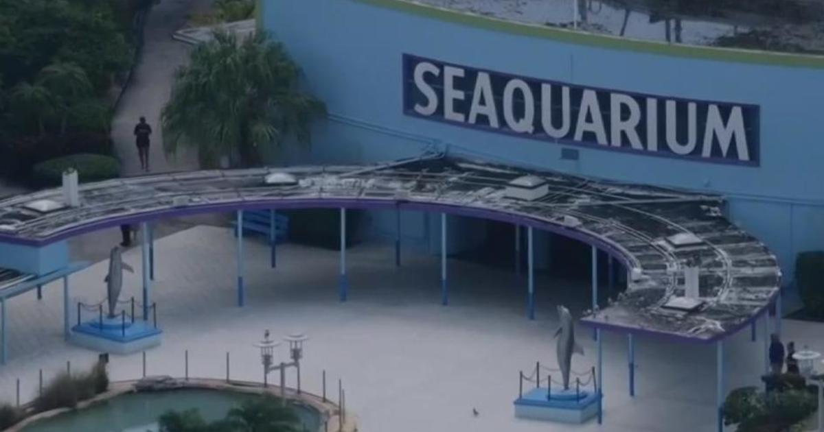 Miami-Dade said it will be ready to take custody of the Miami Seaquarium animals if needed