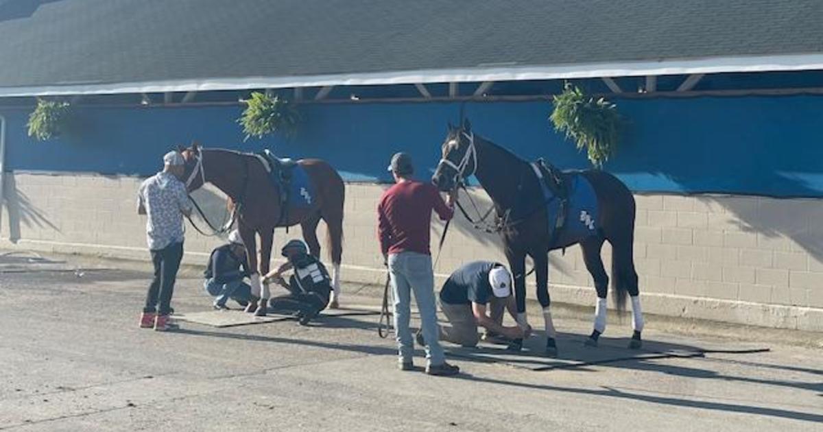 Kentucky's "backside workers" care for million-dollar horses on the racing circuit. This clinic takes care of them.