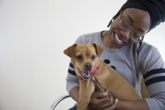 Free Pet-friendly Homeless Shelters Near Me Uplift Families Residence, first ever pet-friendly homeless shelter in
