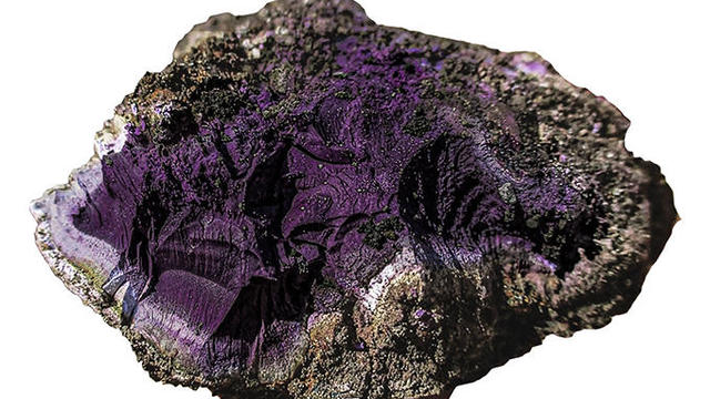 tyrian-purple.jpg 