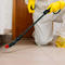 Need a pest control company? Here are 5 signs that you do