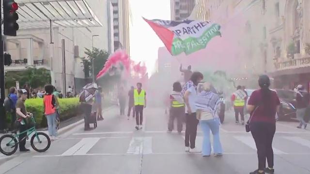 Dallas pro-Palestinian protest.jpg 