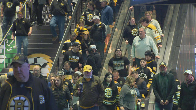Boston Bruins fans 