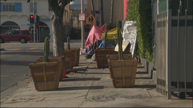 hollywood-planter-box.jpg 