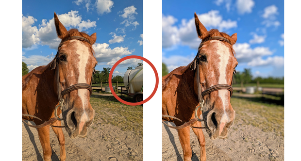 Google Pixel 8a vs. Pixel 8 Pro comparison: Is the new budget 8a phone worth it?