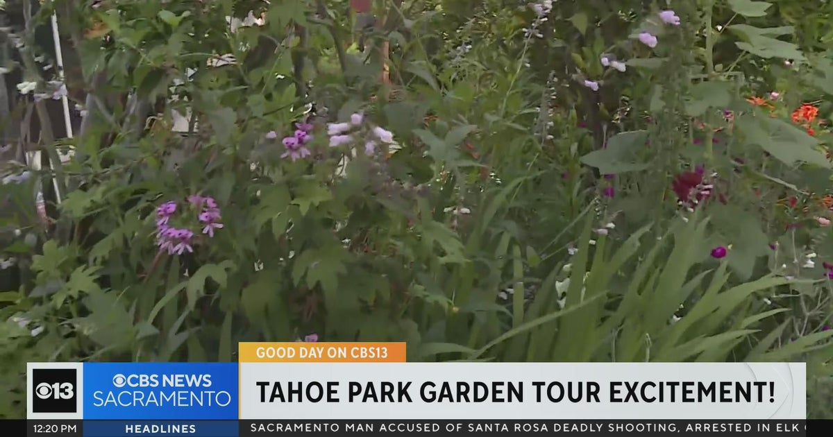 Tahoe Park garden tour set for this weekend