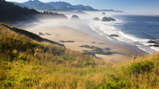 Morning fog adds beauty to Ecola State Park looking south to Haystack Rock and Cannon Beach. Oregon, United States of America 