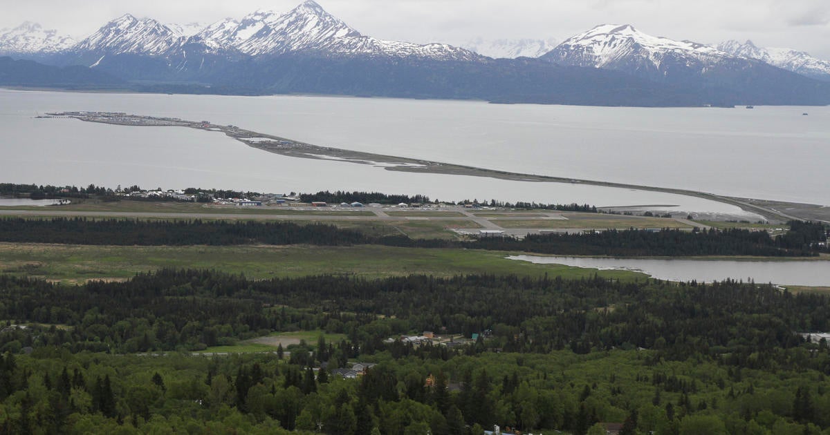 Alaska man killed in moose attack was trying to take photos of newborn calves, troopers say