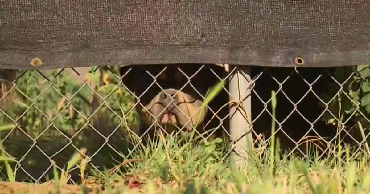 Man sends warning to south Sacramento community after dog attack