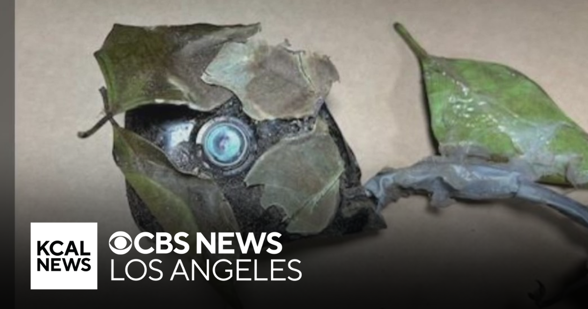 Burglary tourism suspect arrested by Glendale police - CBS Los Angeles