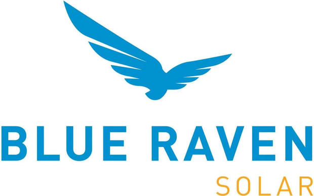 blue-raven-logo.jpg 